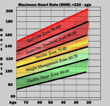 Pulse Rate Chart For Exercise